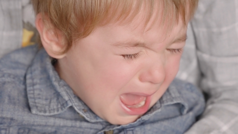 Toddler crying intensely during a tantrum while sitting close to an adult