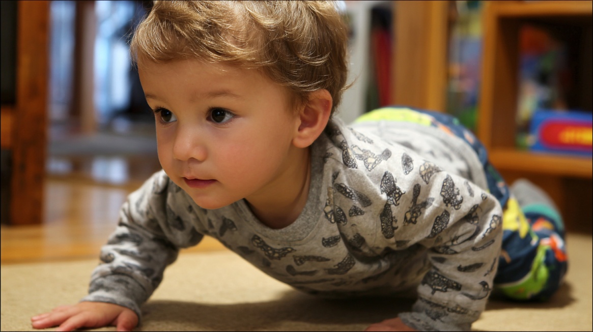A toddler crawling indoors on a carpet, focused on something ahead
